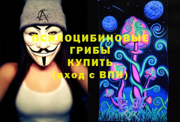 mdpv Володарск