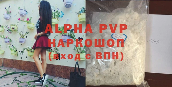 индика Вязьма