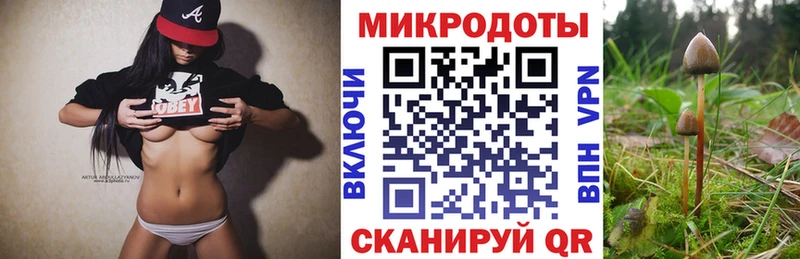 МЕГА ССЫЛКА  Краснообск  Псилоцибиновые грибы Psilocybine cubensis 